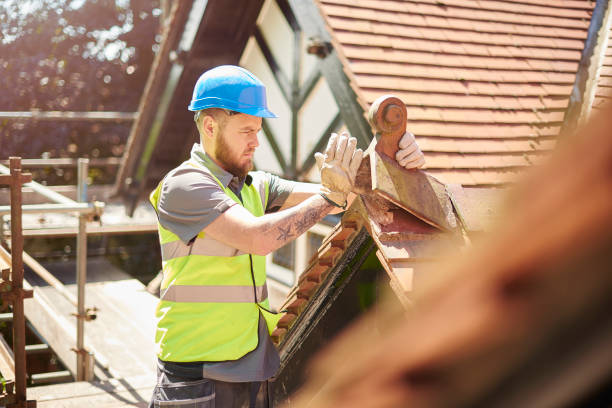 Best Roof Gutter Cleaning  in Verona, PA